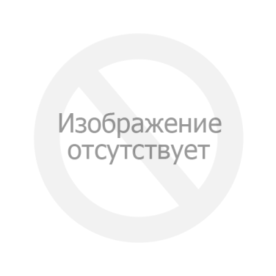Профессиональная монтажная пена Akfix 805P 850 гр.
